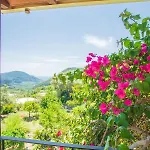 Traditional Family Southern Lefkada * Sivros